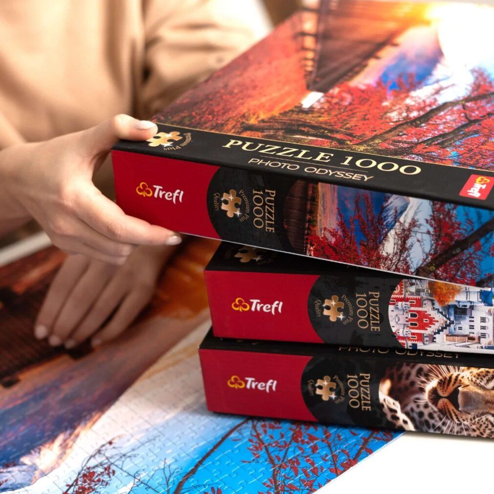 Tre scatole di puzzle, marchio Trefl, 1000 pezzi. Motivi: paesaggio, foglie autunnali, leopardo. Scatole tenute in mano.