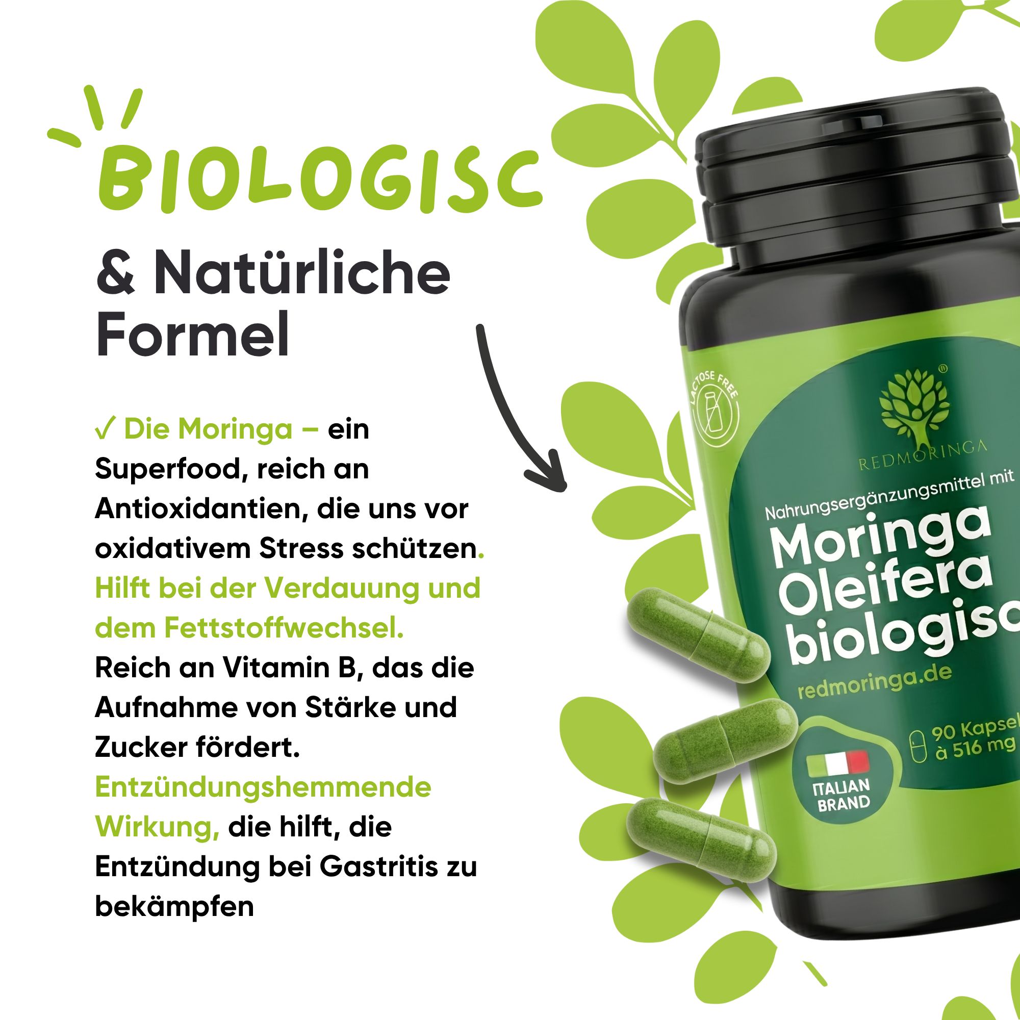 Flacone RedMoringa Moringa Oleifera Biologica con testo su ingredienti e benefici.
