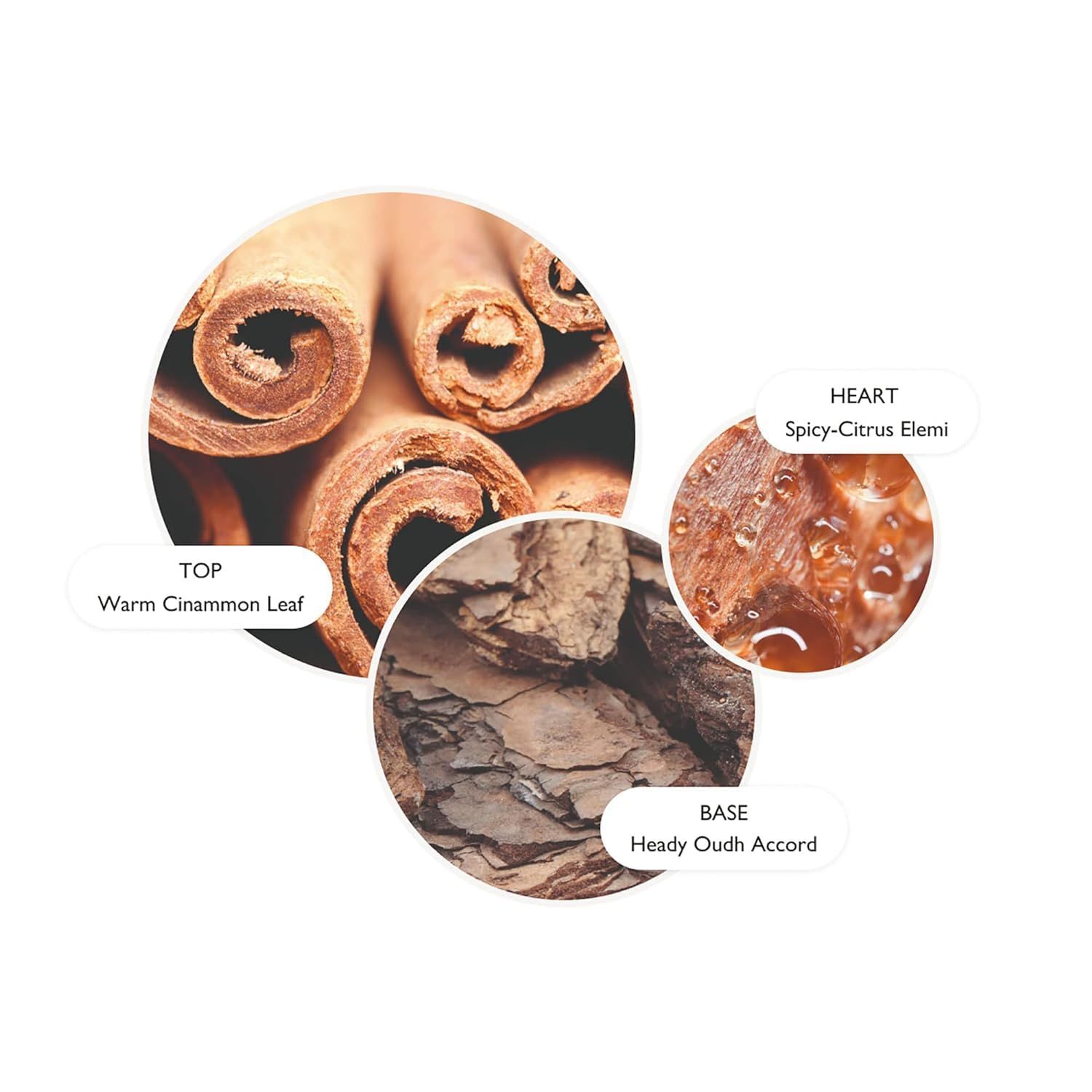 Note olfattive: Foglia di cannella, Elemi speziato-agrumato, Accordo Oudh.