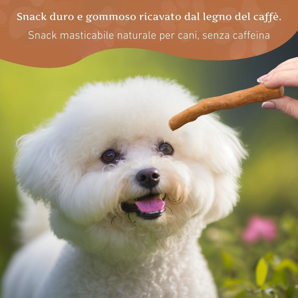 Cane bianco, bastoncino masticabile in bocca. Testo: Snack in legno di caffè. Snack senza caffeina per cani.
