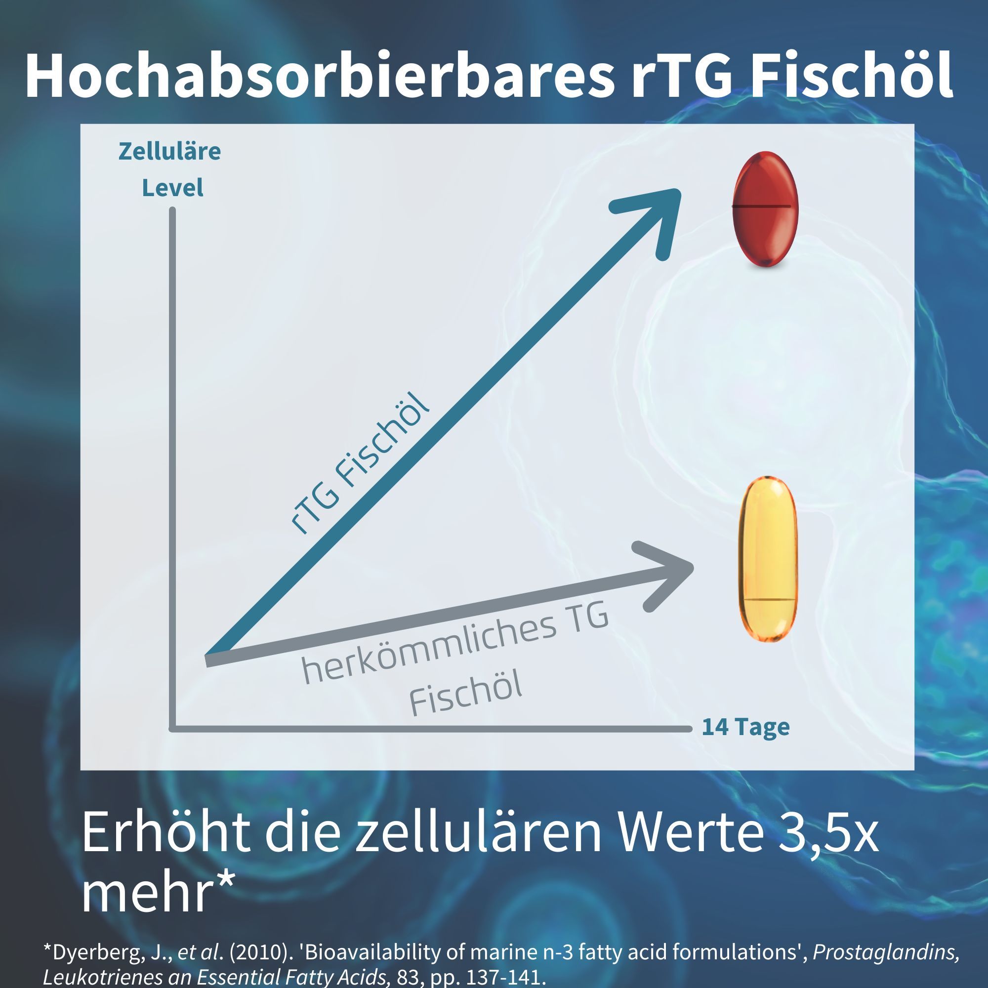 Grafico che mostra un maggiore assorbimento cellulare dell'olio di pesce rTG rispetto all'olio di pesce TG standard.