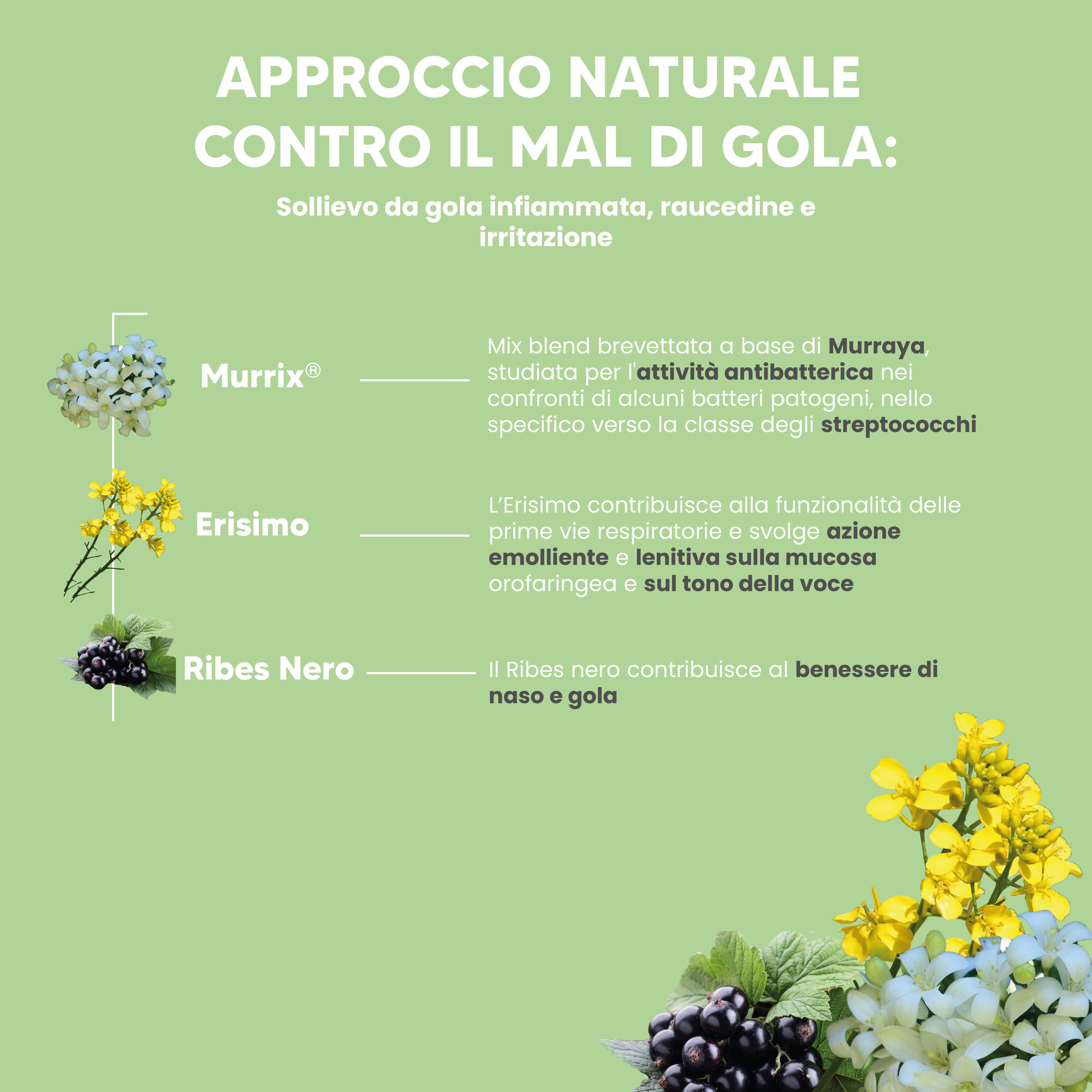 NTP Biotech - Murrixina Spray Adulti – Spray orale per il benessere delle vie orofaringee