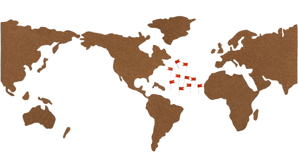 Bacheca OOTB, puzzle mappa del mondo in sughero