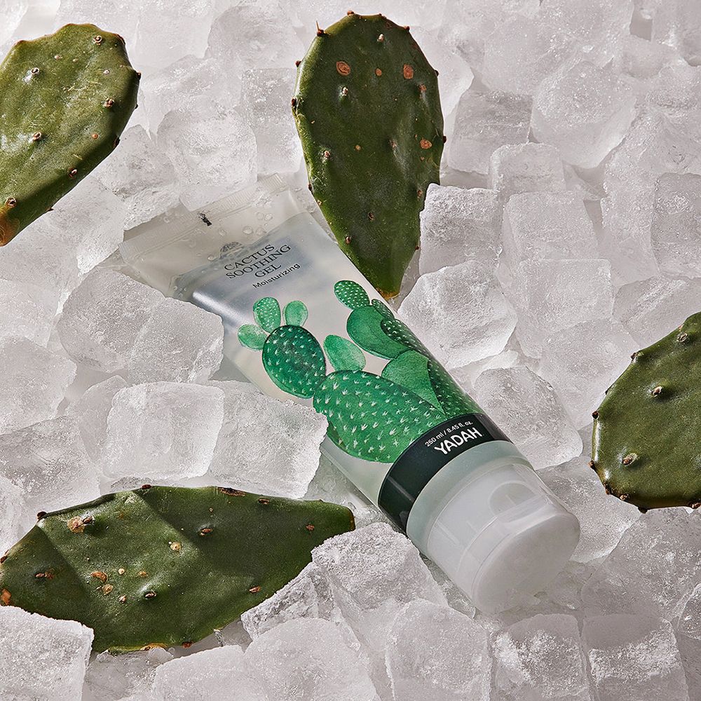 Tubo di gel lenitivo al cactus su cubetti di ghiaccio. Tubo verde e bianco con illustrazione di cactus. Logo YADAH visibile.