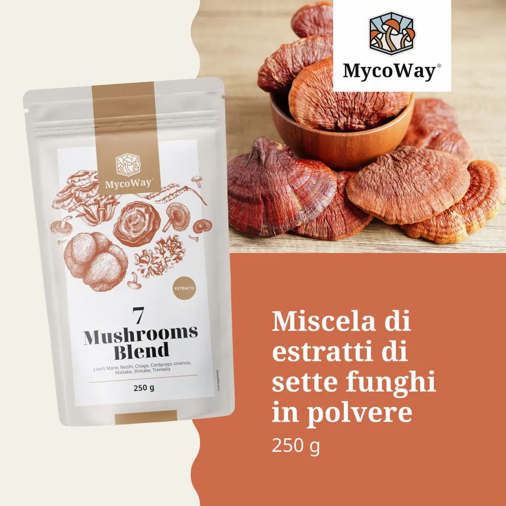 Confezione del prodotto con estratti di funghi e funghi secchi. Testo: Miscela di estratti di sette funghi.