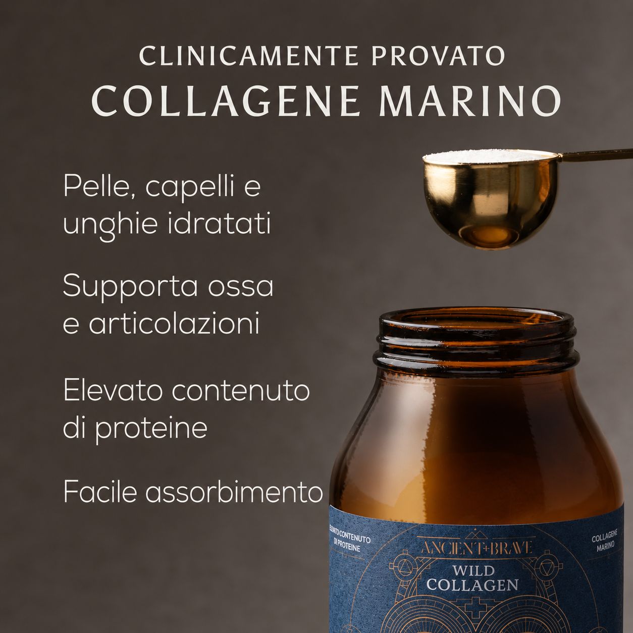 Ancient + Brave Polvere di Wild Collagen