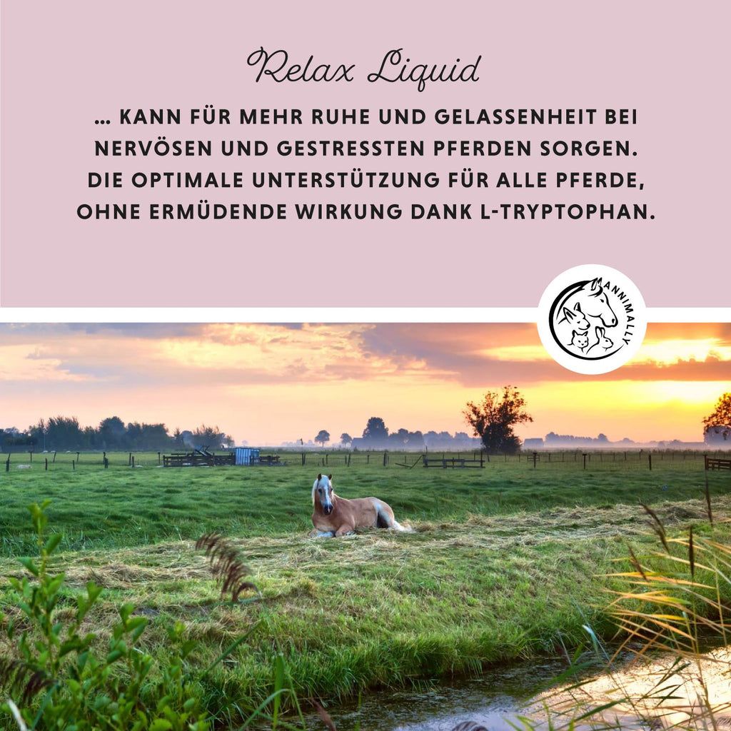 Testo su sfondo rosa: "Relax Liquid" e testo sulla calma e serenità per i cavalli. Logo con illustrazioni di animali.