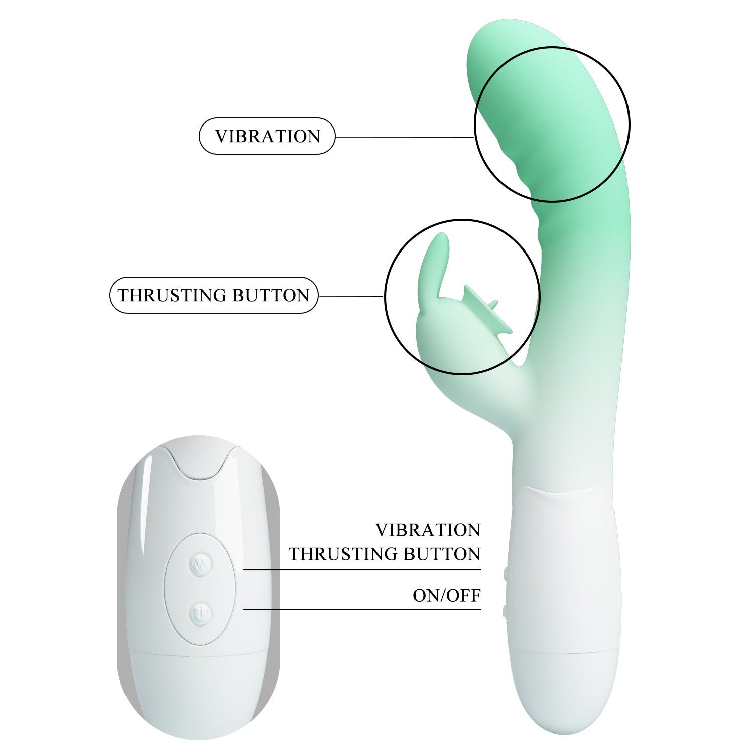 Vibratore con scritte: Vibration, Thrusting Button, On/Off. Telecomando.