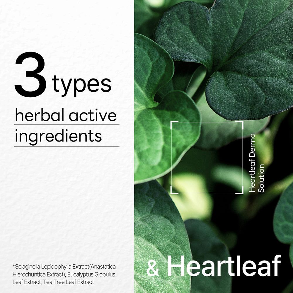 Testo "3 types herbal active ingredients" e foglie verdi. Testo su sfondo bianco.