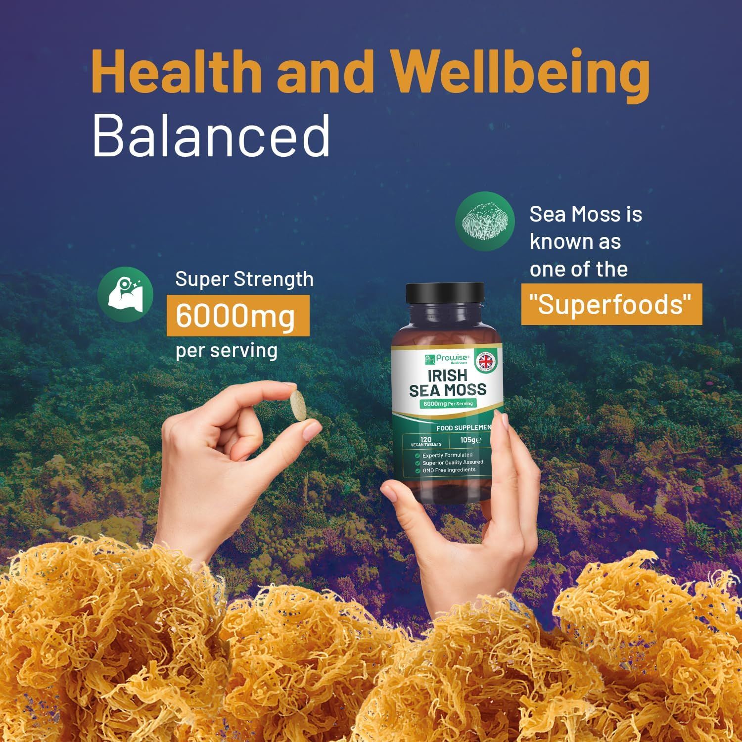 Mani che tengono una compressa e un flacone di Prowise Irish Sea Moss Tabletten. Scritta: 6000mg per porzione. Sfondo: alghe marine.
