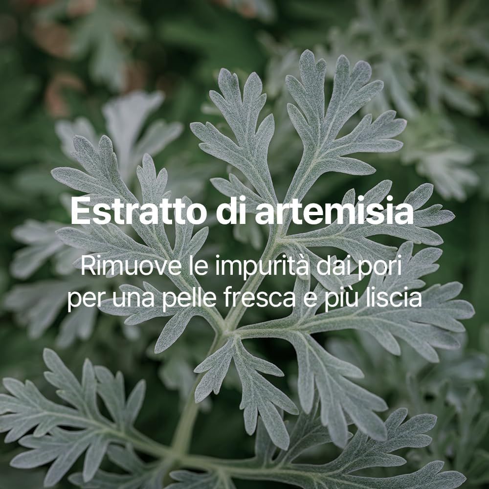 Primo piano di piante. Testo: Estratto di artemisia. Rimuove le impurità dai pori per una pelle fresca e più liscia.