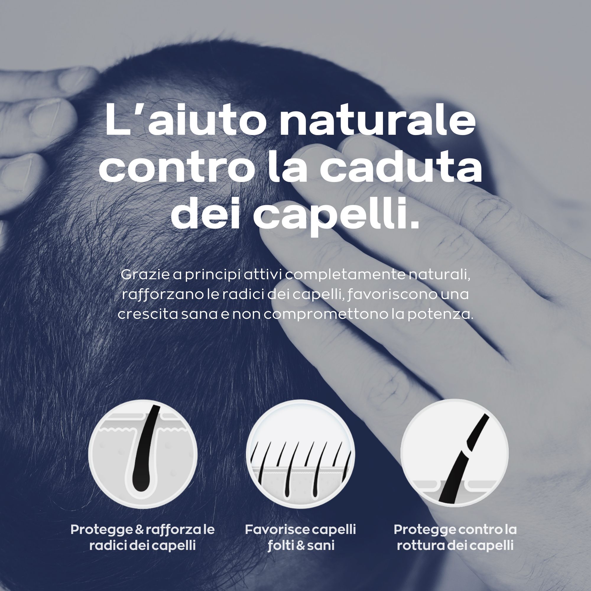 Compresse Xpecia: Alternativa naturale alla finasteride, rinforza le radici dei capelli.