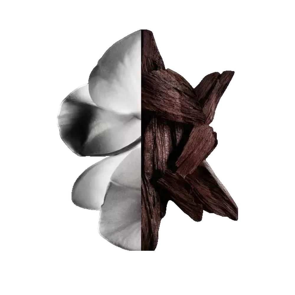 Immagine divisa. Metà sinistra: petali bianchi. Metà destra: pezzi di legno scuro.