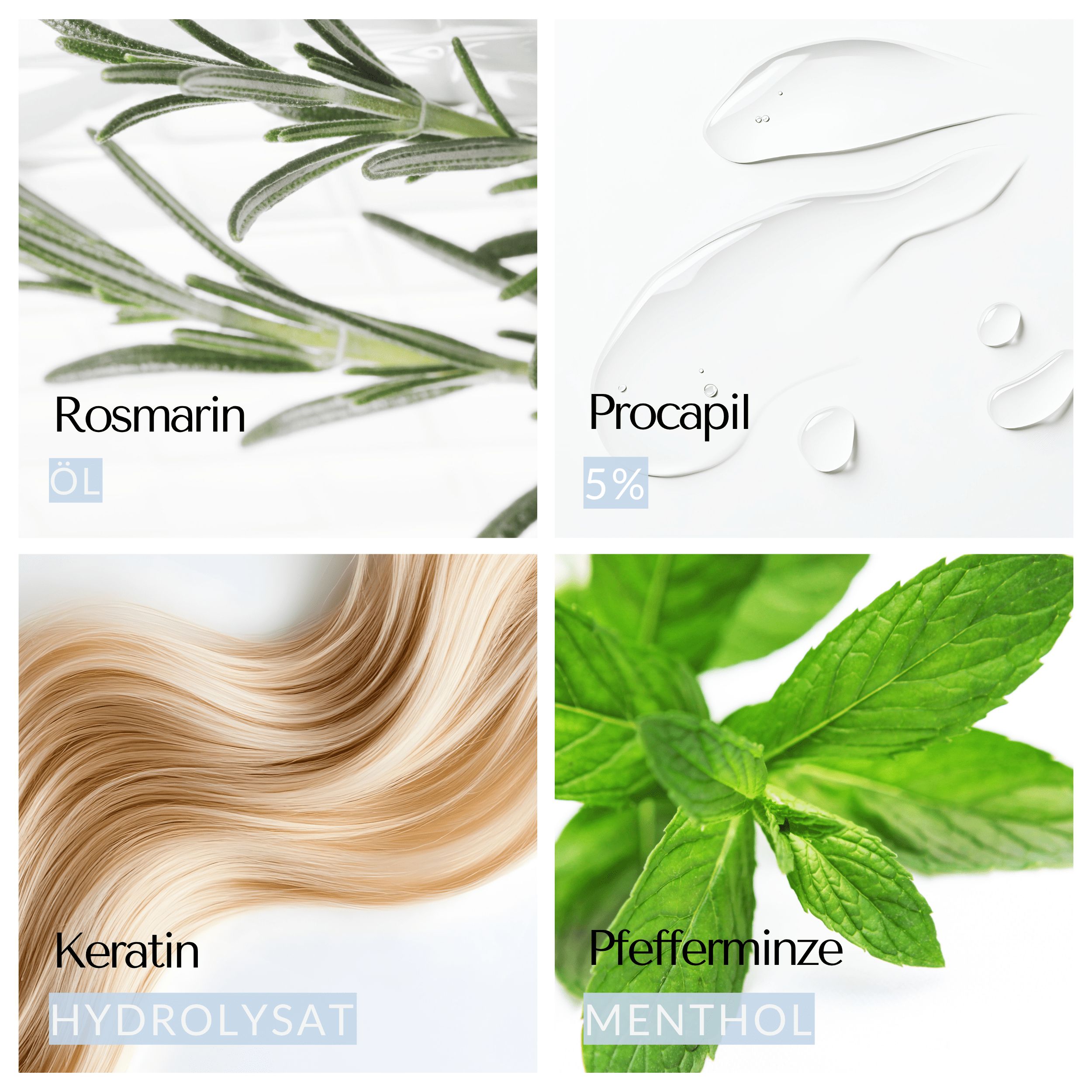Quattro immagini di ingredienti: Rosmarino, Procopil 5%, Cheratina, Menta piperita. Testo in tedesco.