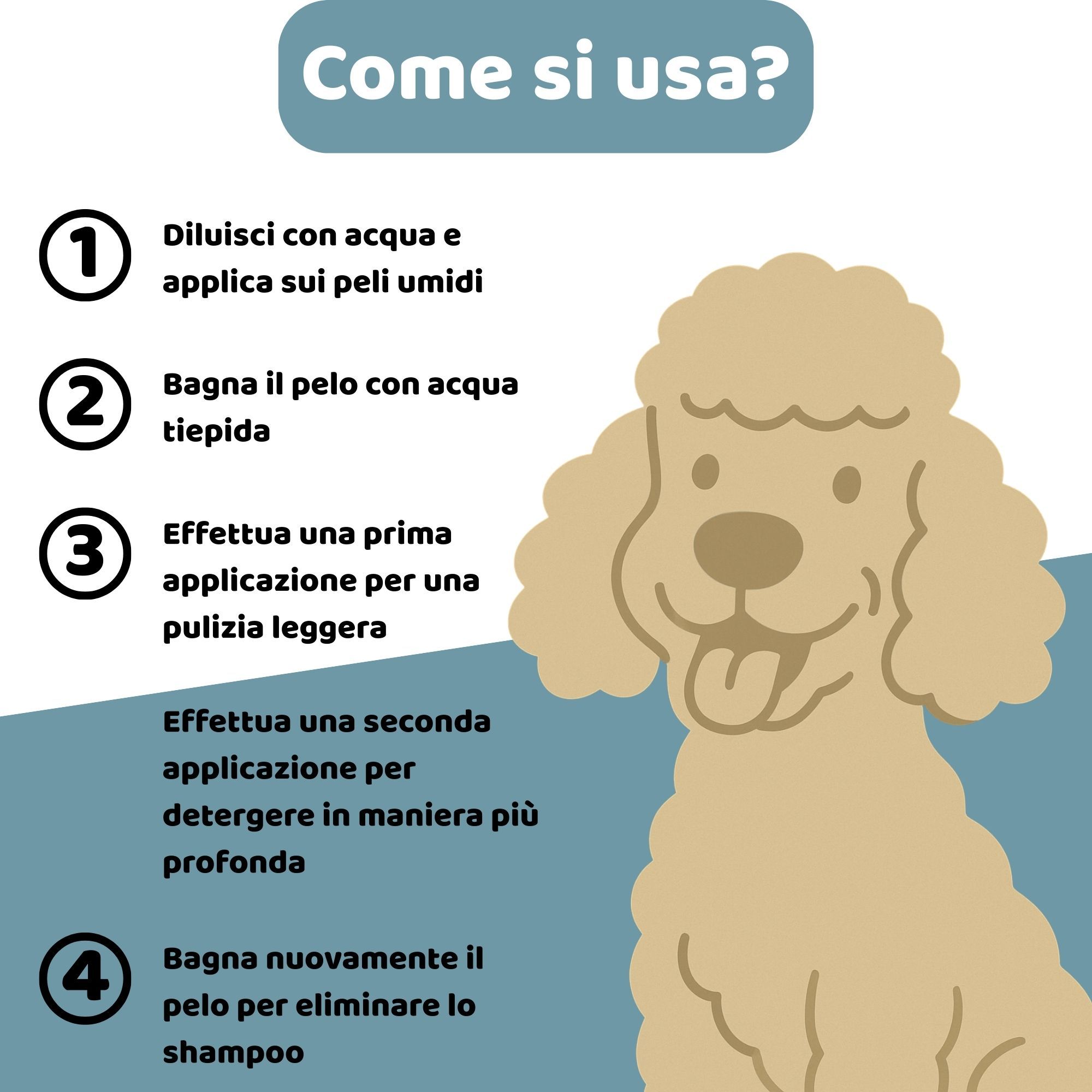 Illustrazione di un cane. Testo: Come si usa? 4 passaggi per applicare lo shampoo.