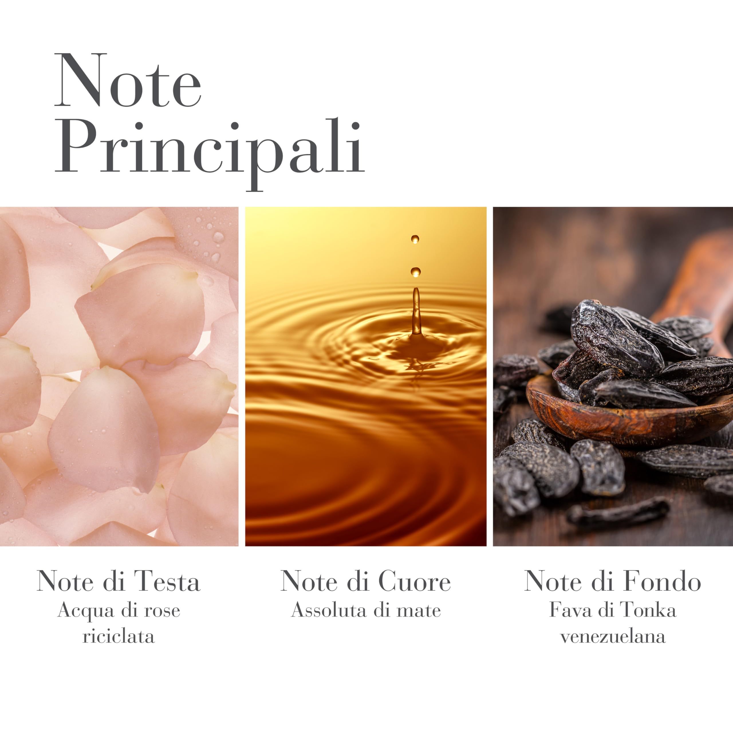 Tre immagini: petali di rosa, gocce d'acqua, fave di tonka. Testo: Note di Testa, Note di Cuore, Note di Fondo.