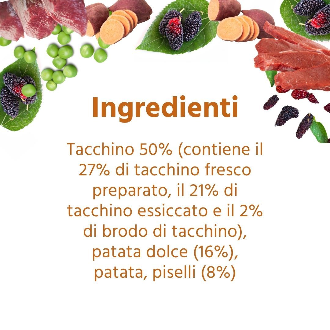 Elenco ingredienti con tacchino 50%, patate dolci 16%, piselli 8%. Contiene tacchino fresco, essiccato e brodo di tacchino. Testo: Ingredienti.