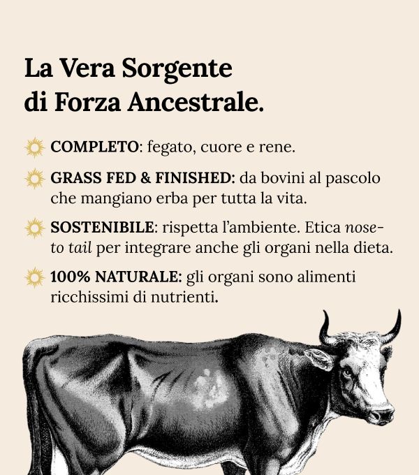 Carnivore Company Multi Organs - Mix di Organi Bovini Grass Fed & Finished