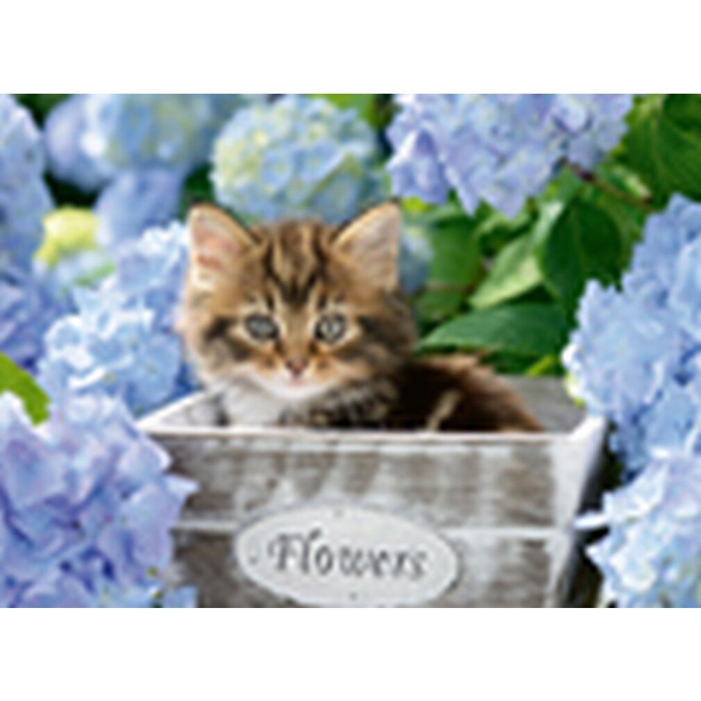 Puzzle Pz. Kleine Katze 300T. Immagine di un gattino in una fioriera. Fiori sullo sfondo. Testo: Flowers.