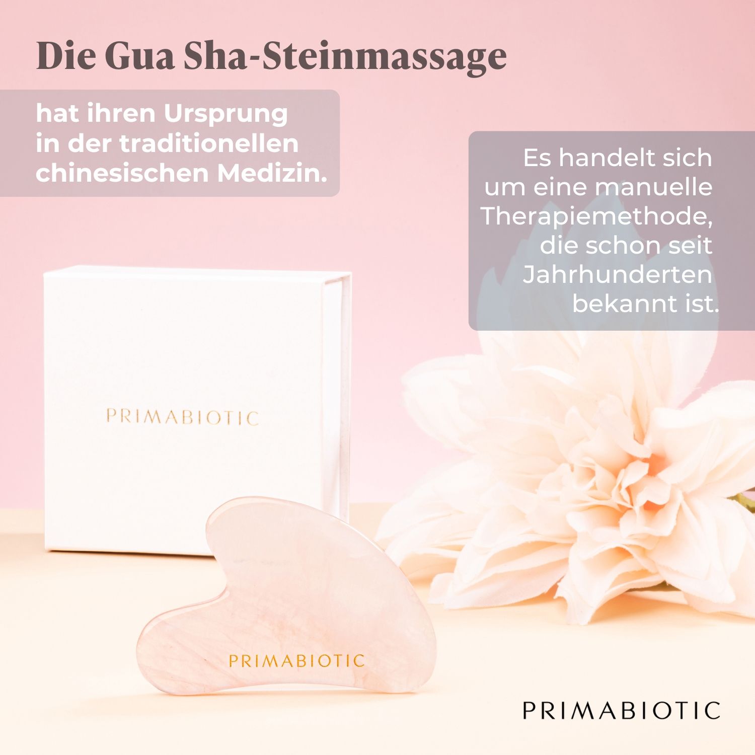 Pietra Gua Sha in quarzo rosa, accanto alla confezione bianca. Testo: Il massaggio con la pietra Gua Sha.