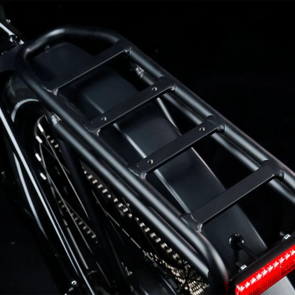 Portapacchi nero con fanale posteriore su e-bike. Il portapacchi ha tre barre orizzontali.