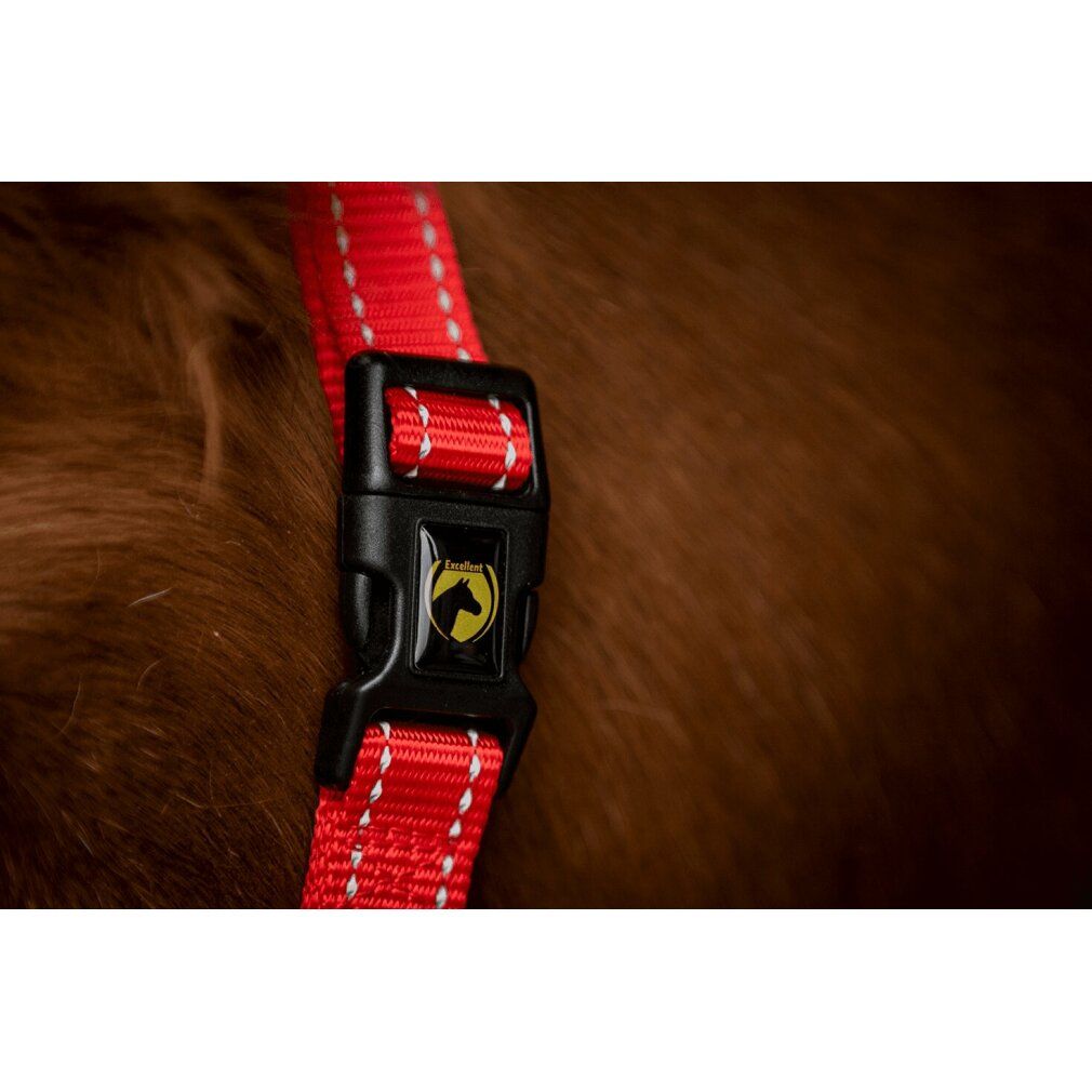 Fibbia rossa per cavezza con logo. Fibbia nera con logo giallo. Cuciture bianche su fettuccia rossa.