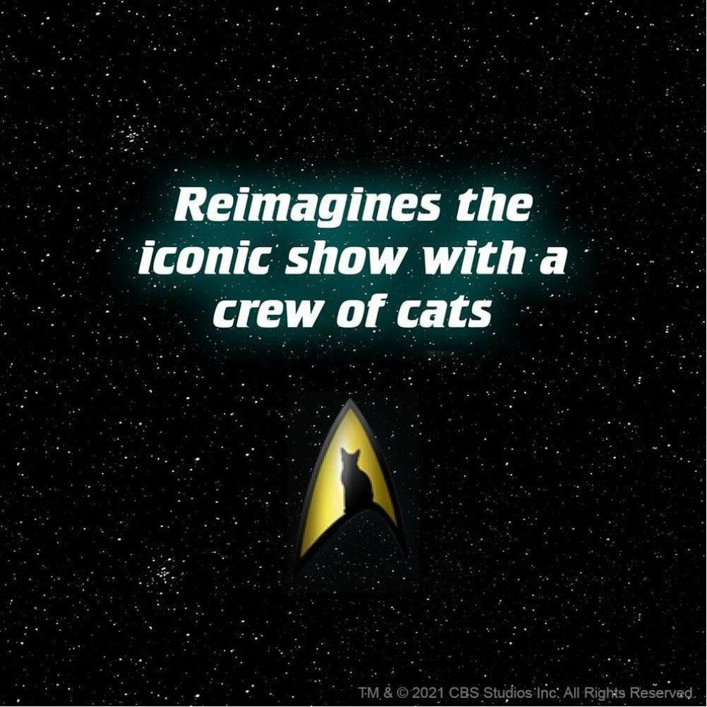 libri caroniclei Puzzle Star Trek Cats 1000 parti