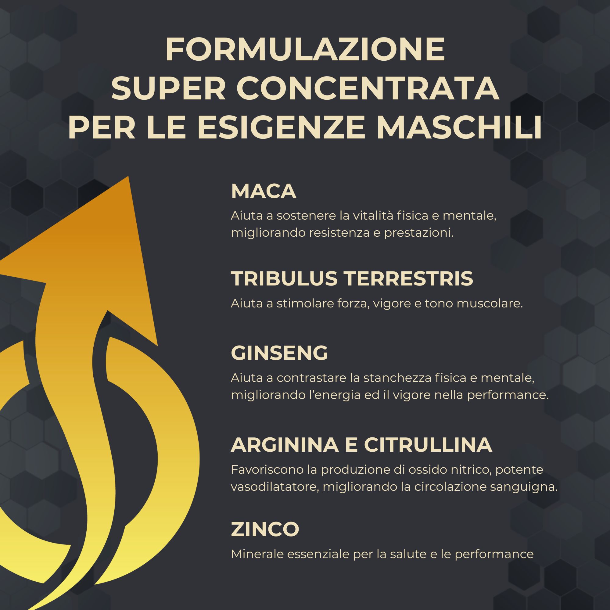 Formulazione super concentrata per le esigenze maschili: Maca, Tribulus Terrestris, Ginseng, Arginina, Citrullina, Zinco.