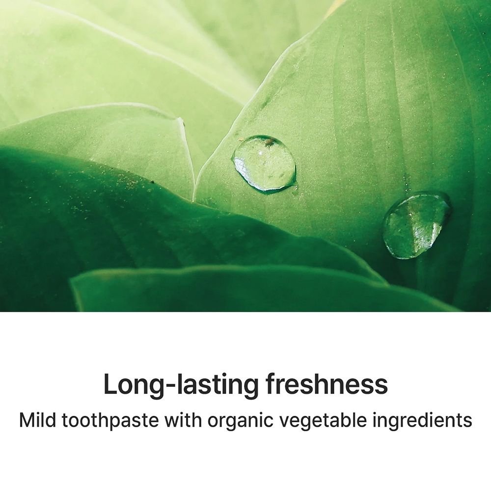 Foglie verdi con gocce d'acqua. Testo: "Long-lasting freshness", "Mild toothpaste with organic vegetable ingredients".