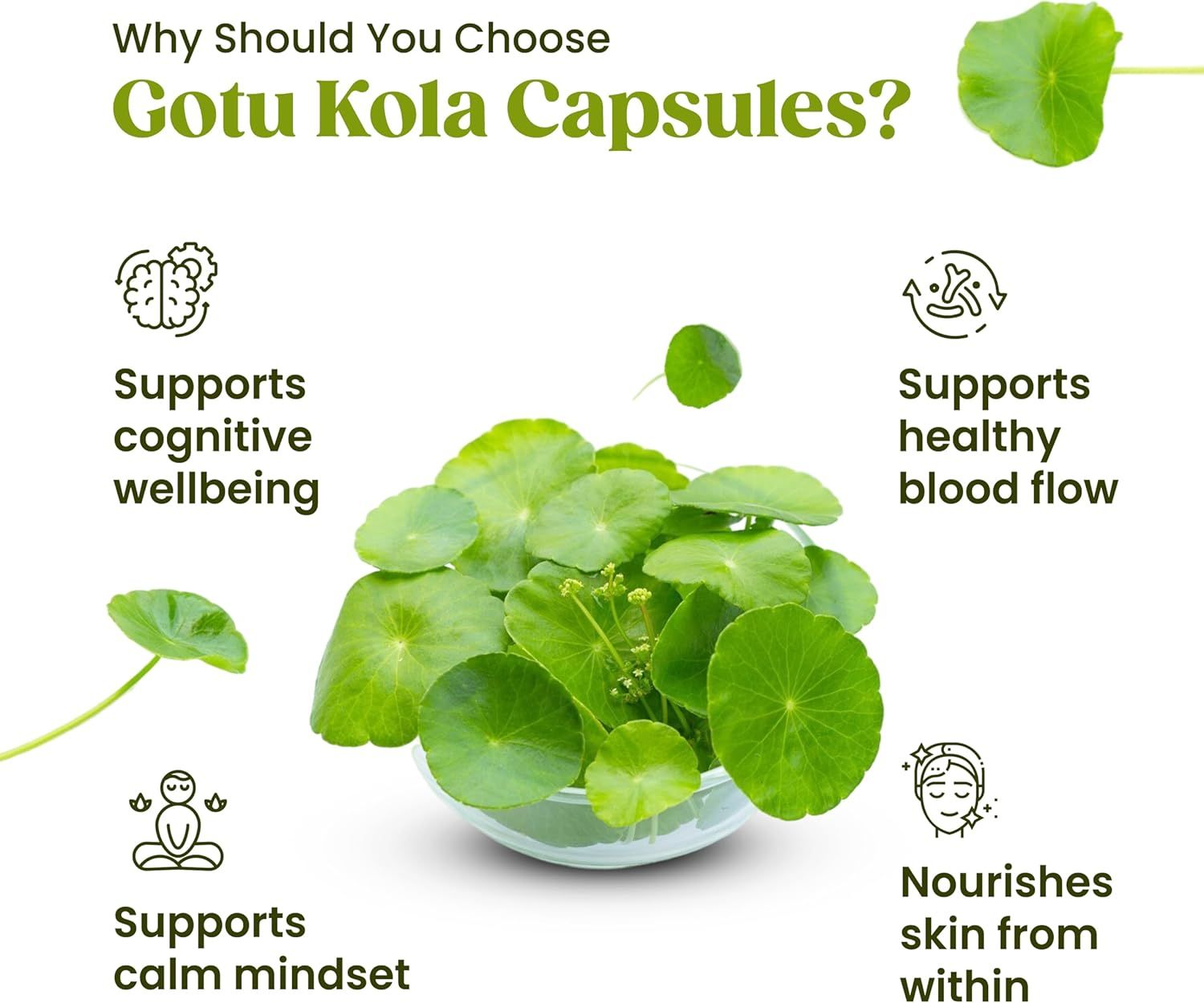 Capsule H&C Gotu Kola (Centella Asiatica)