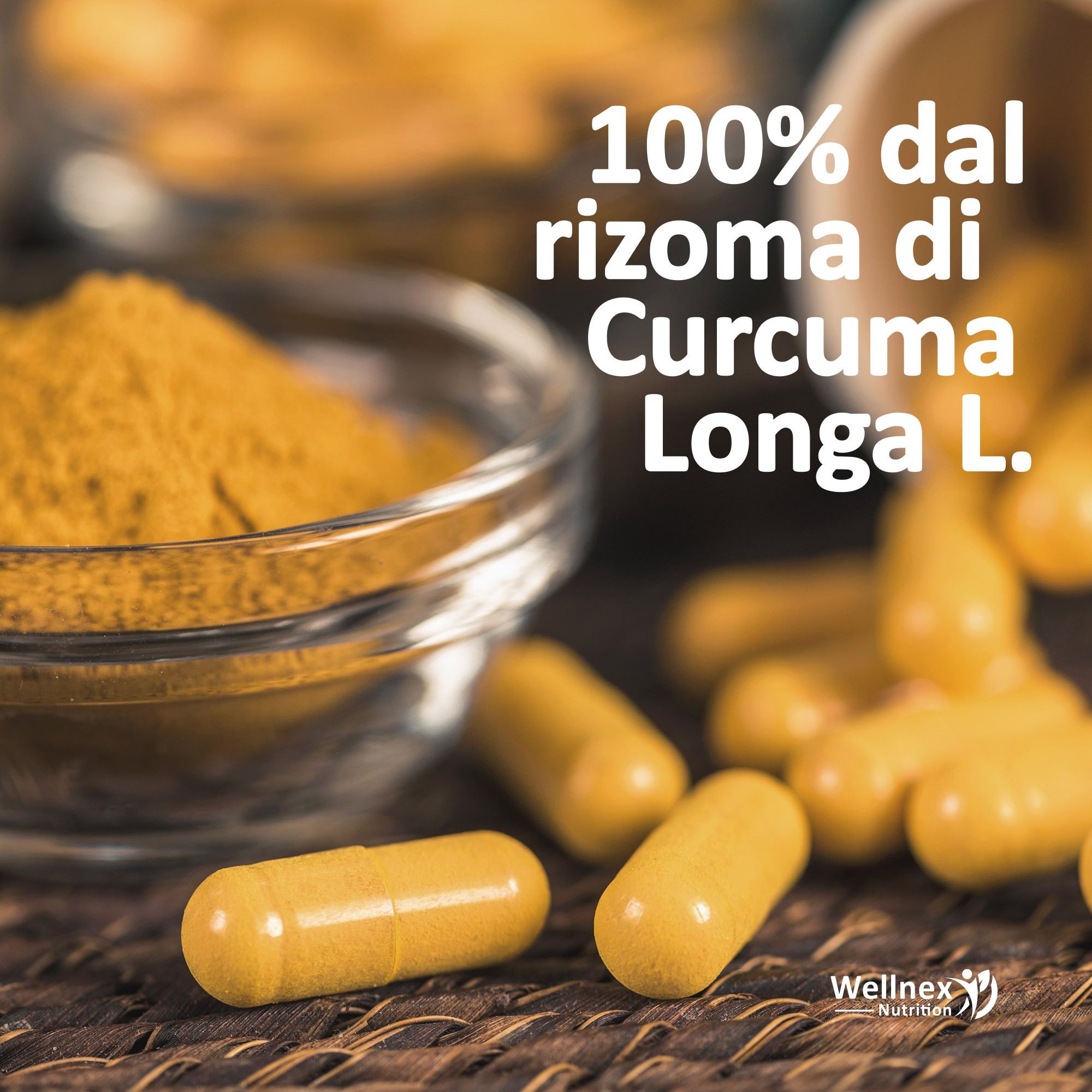 Wellnex Nutrition Curcuma Purissima Polvere - Curcuma Longa - 90 Capsule Vegetali