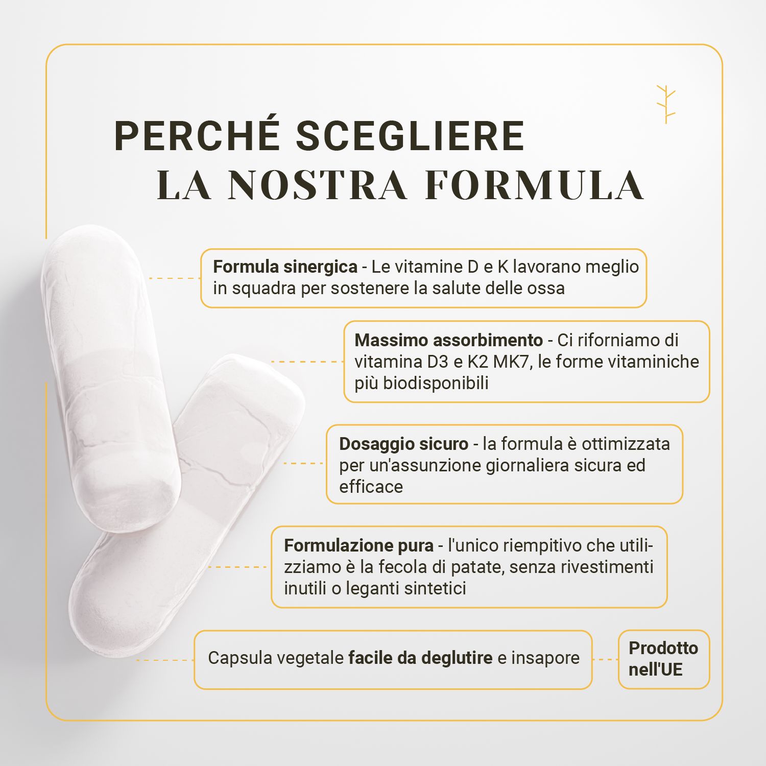 Due capsule bianche su sfondo bianco. Testo: Perché scegliere la nostra formula? Formula sinergica, massimo assorbimento, dosaggio sicuro.