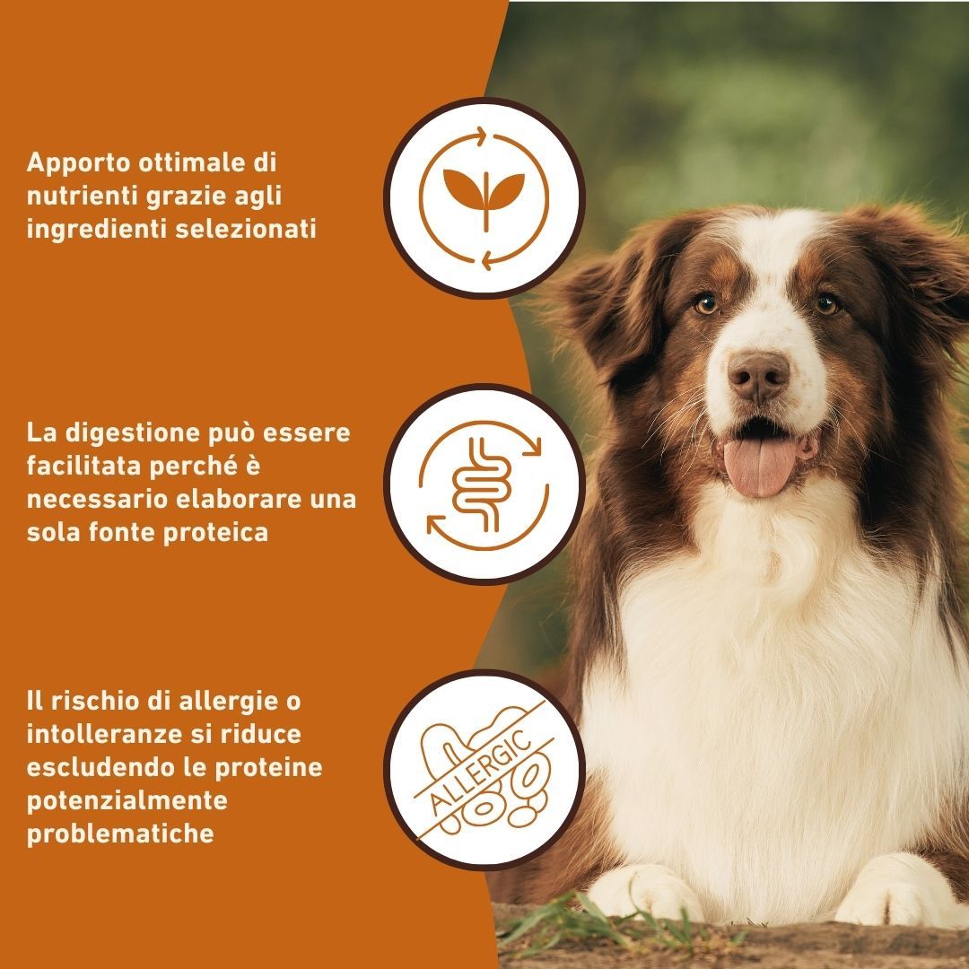 Cane con testo: Apporto ottimale di nutrienti. La digestione può essere facilitata. Riduce il rischio di allergie. Testo: Wildfang.