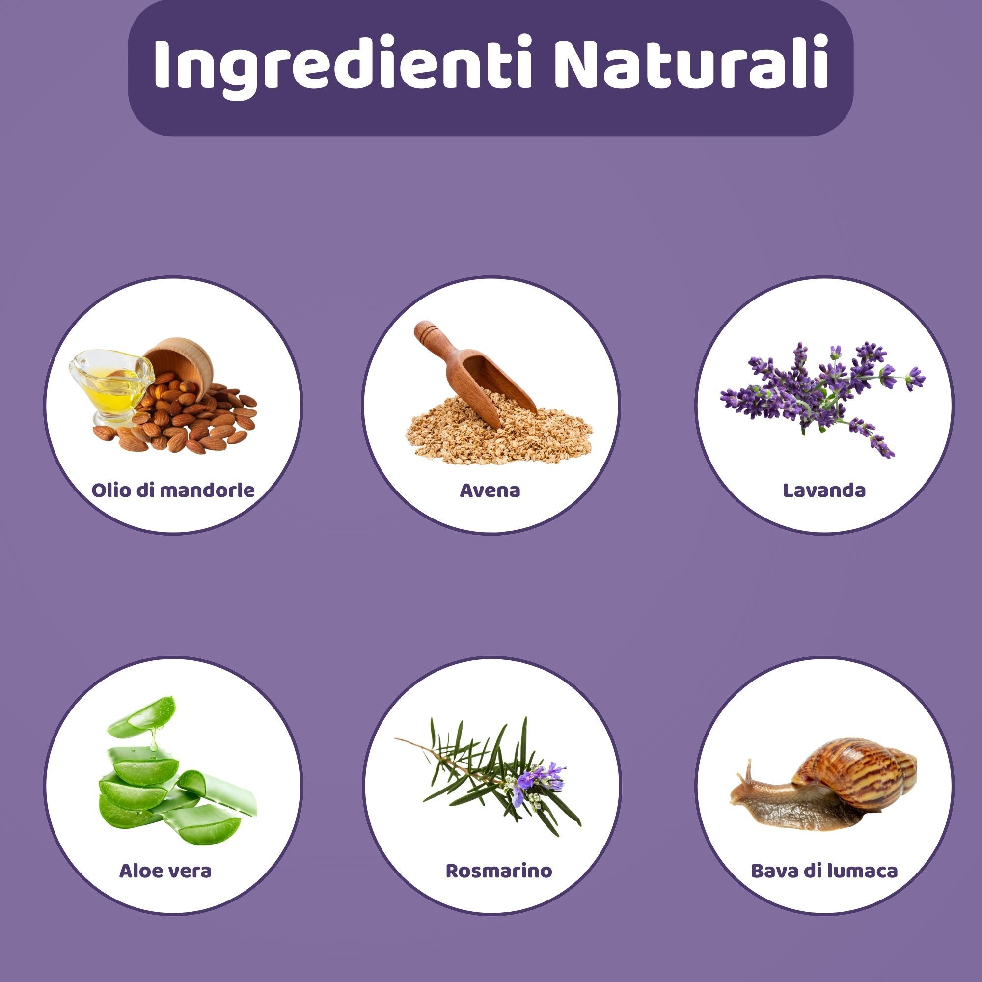 Illustrazioni circolari degli ingredienti: Olio di mandorle, Avena, Lavanda, Aloe vera, Rosmarino, Bava di lumaca. Titolo: Ingredienti naturali.