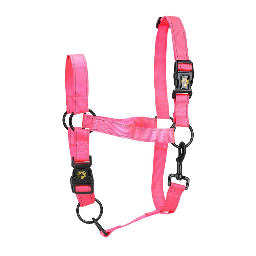 Cavezza rosa con anelli e fibbie neri. Vista completa. Cinghie regolabili e moschettone.