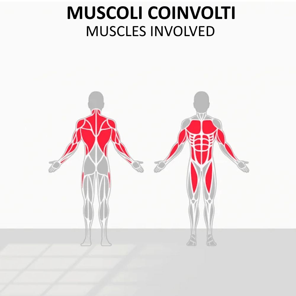 Due figure umane mostrano i gruppi muscolari coinvolti durante gli esercizi. Segni rossi sui muscoli.