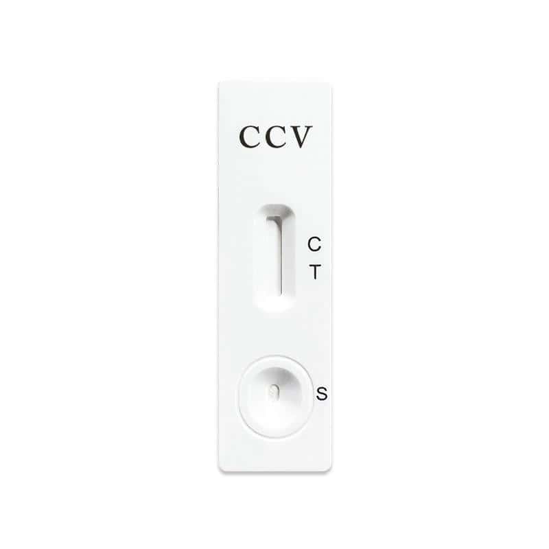 Un singolo test rapido antigenico per cani con "CCV" e campi di test.