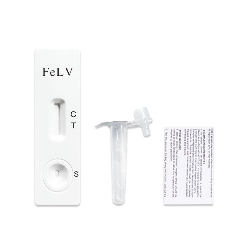 Test per la rilevazione di FeLV per gatti, con striscia reattiva, provetta e foglietto illustrativo.