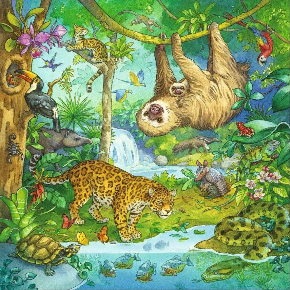 Puzzle: giungla con animali. Panda mangia bambù. Tigre, scimmia, pappagallo, tapiro, rinoceronte, coccodrillo e altri animali.