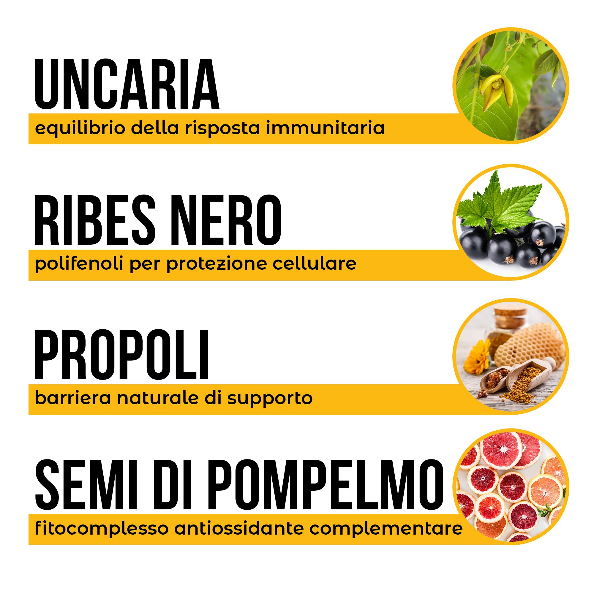 Flacone di prodotto con informazioni su Uncaria, Ribes Nigrum, Propoli ed estratto di semi di pompelmo.