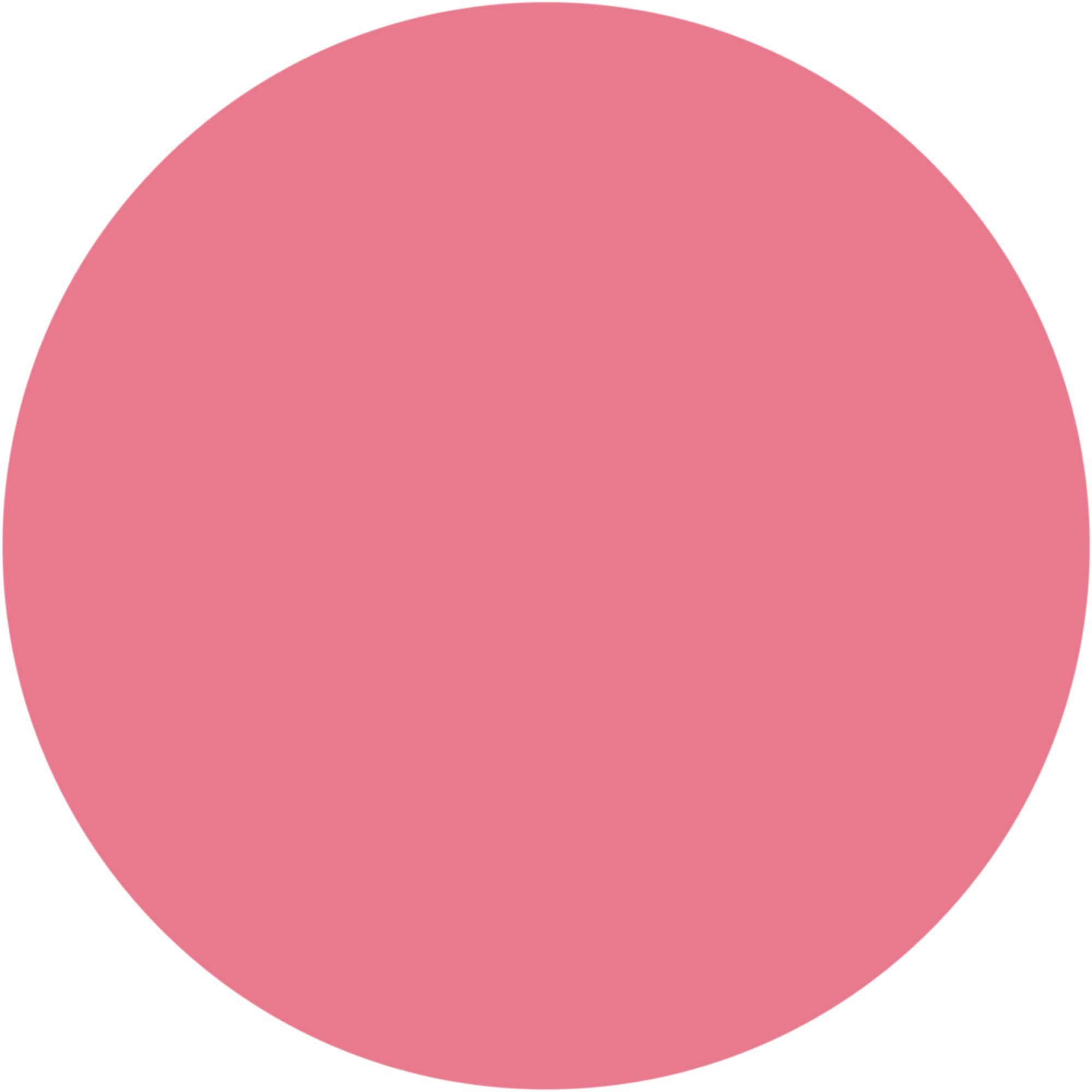 WYCON cosmetics balmy cheeks 303 sweet signorina