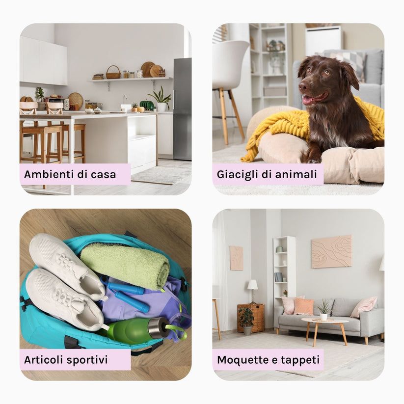 Quattro immagini quadrate. Scene: cucina, animale, articoli sportivi, tappeti. Testo: Ambienti di casa, Giaciigli di animali, Articoli sportivi, Moquette e tappeti.