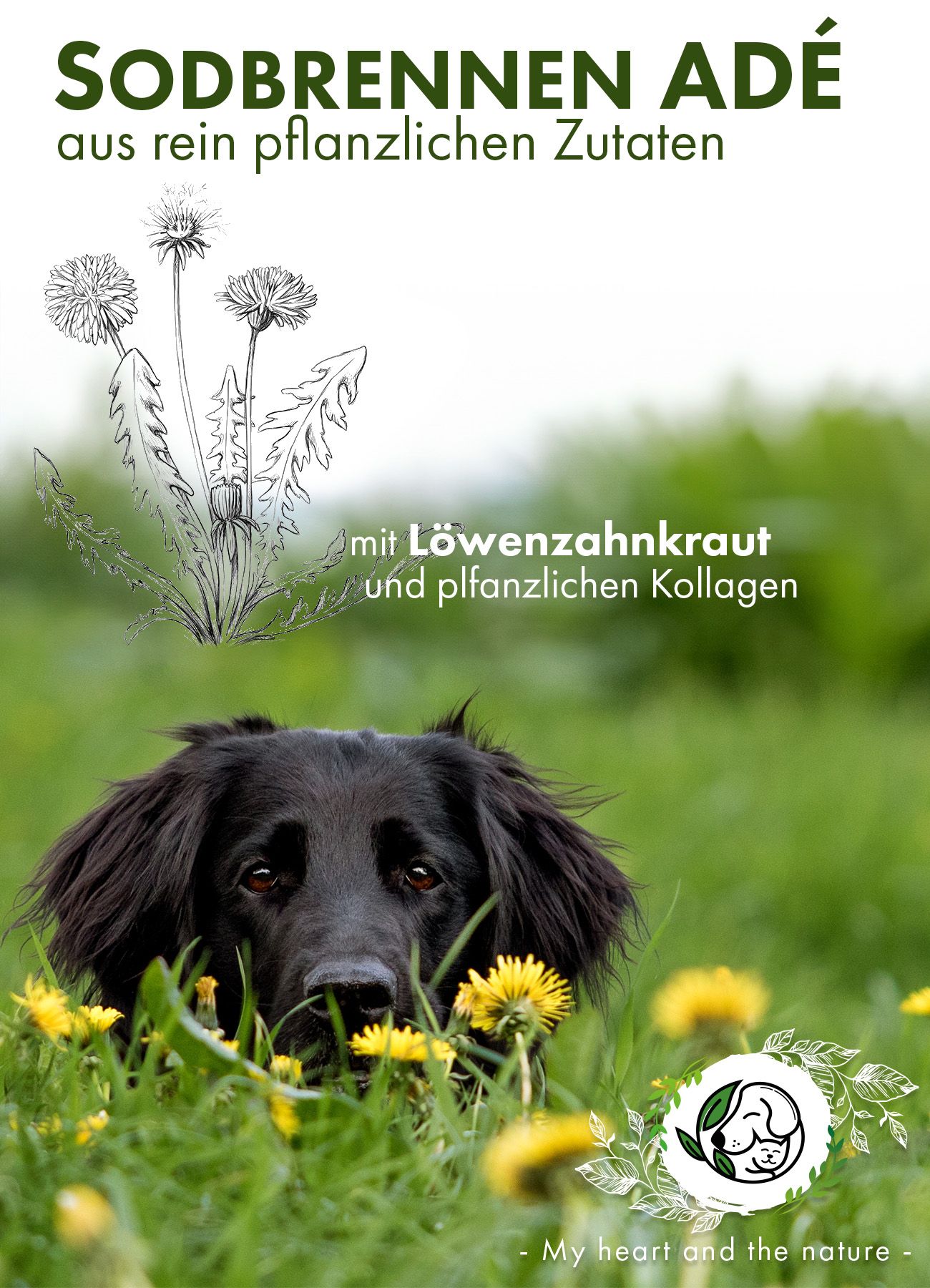 Immagine pubblicitaria con cane nell'erba. Testo: "SODBRENNEN ADÉ" e "aus rein pflanzlichen Zutaten". Logo Nature Animal.