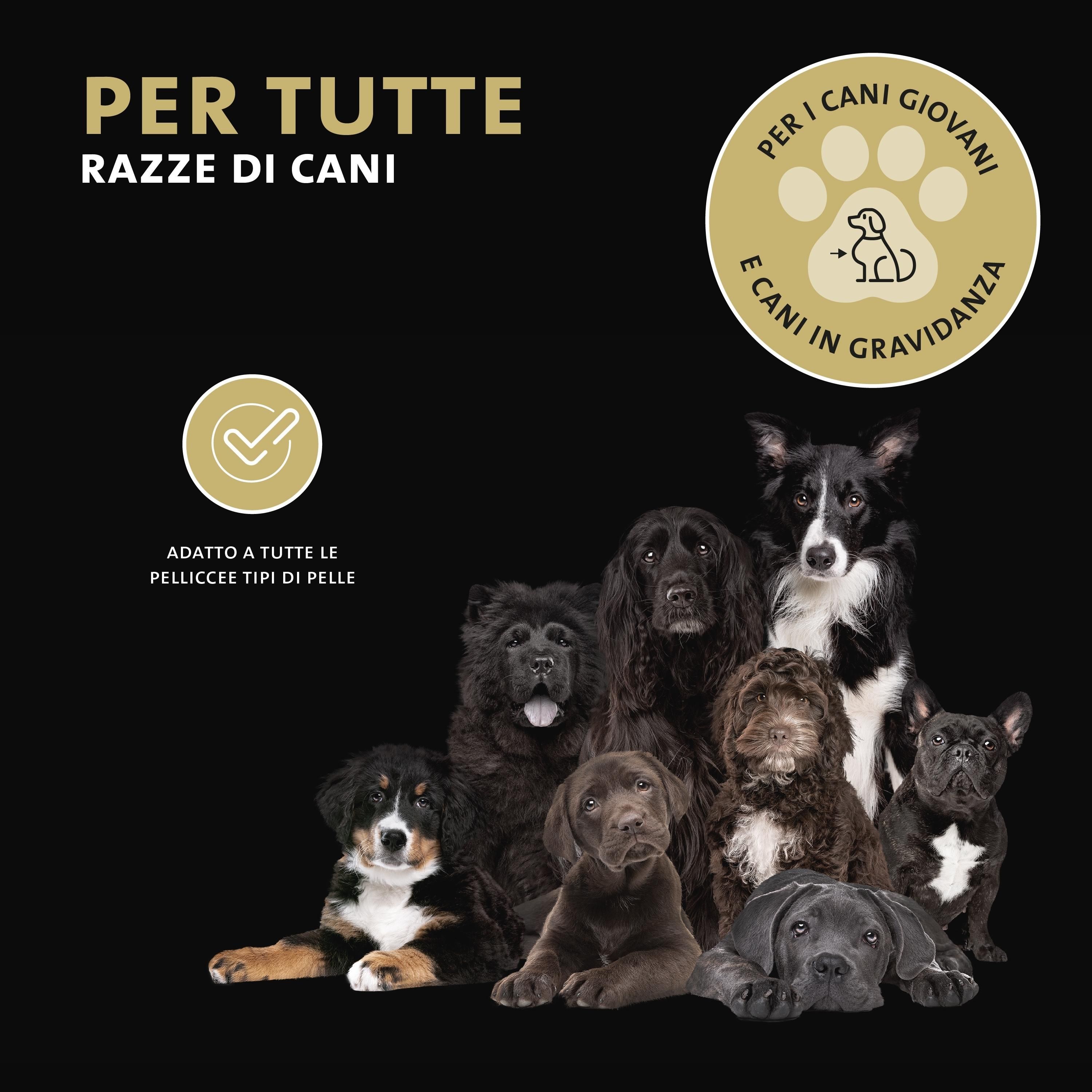 Diverse razze di cani su sfondo nero. Testo: Per tutte razze di cani. Logo: Adatto a cuccioli e cagne in gravidanza.