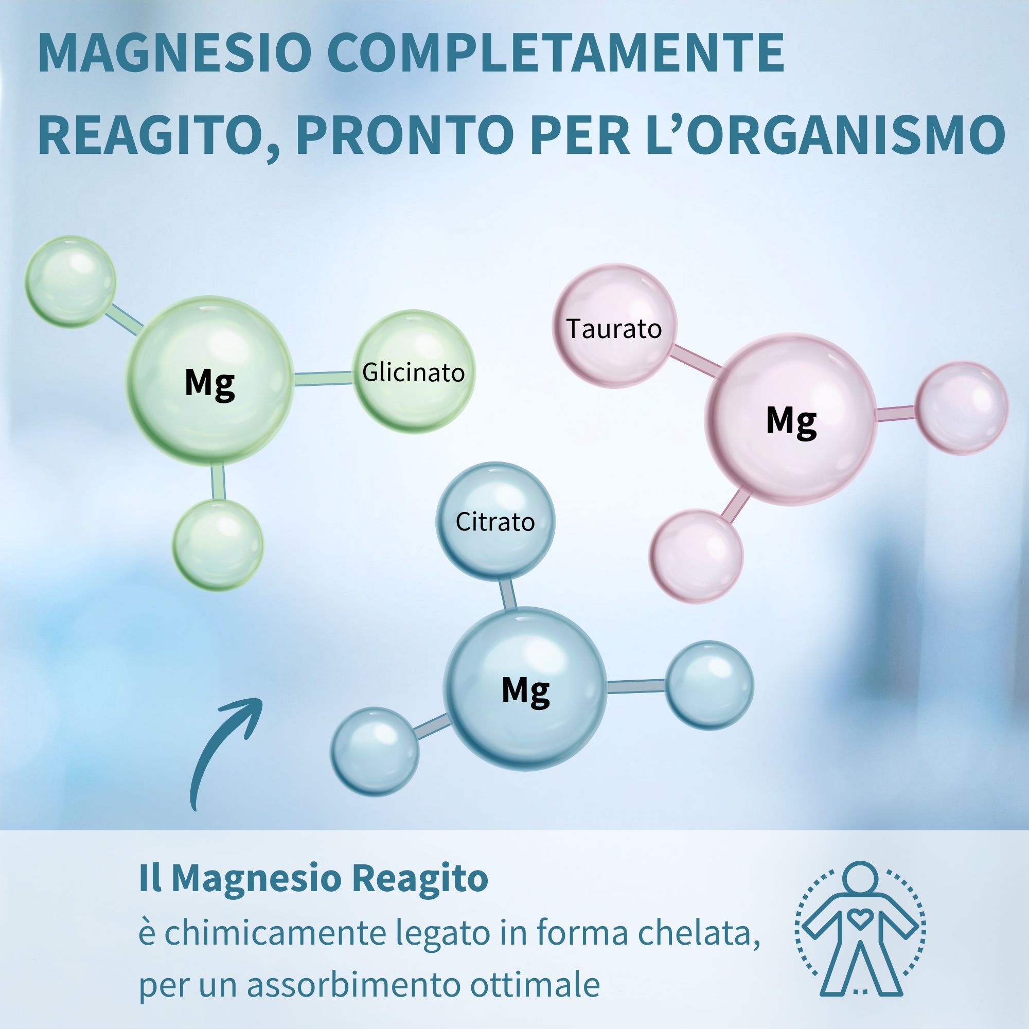 Grafico che mostra molecole di magnesio (Mg) legate a glicinato, taurato e citrato.