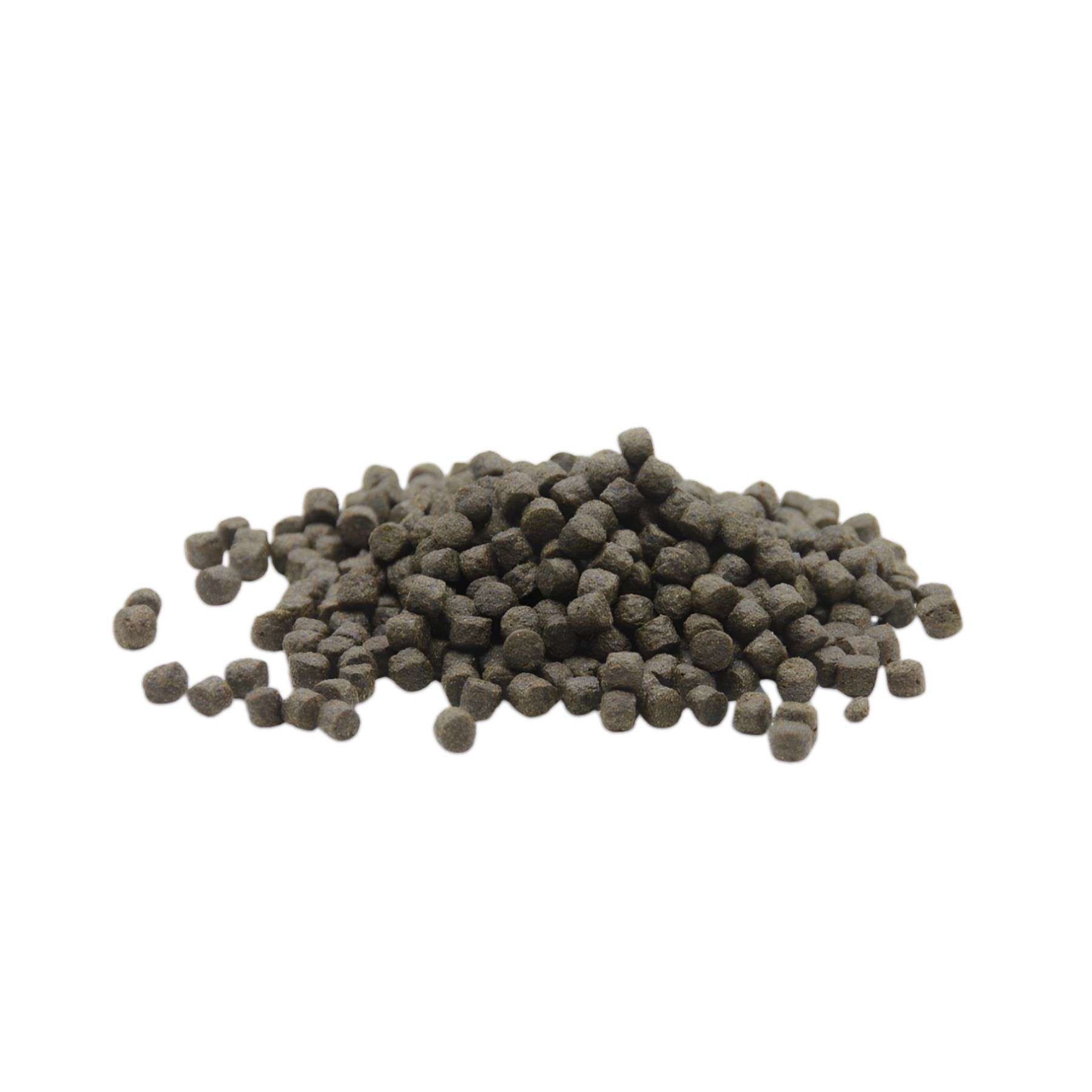 KI-JA-KO Cibo per pesci Koi Spirulina Plus 6 mm