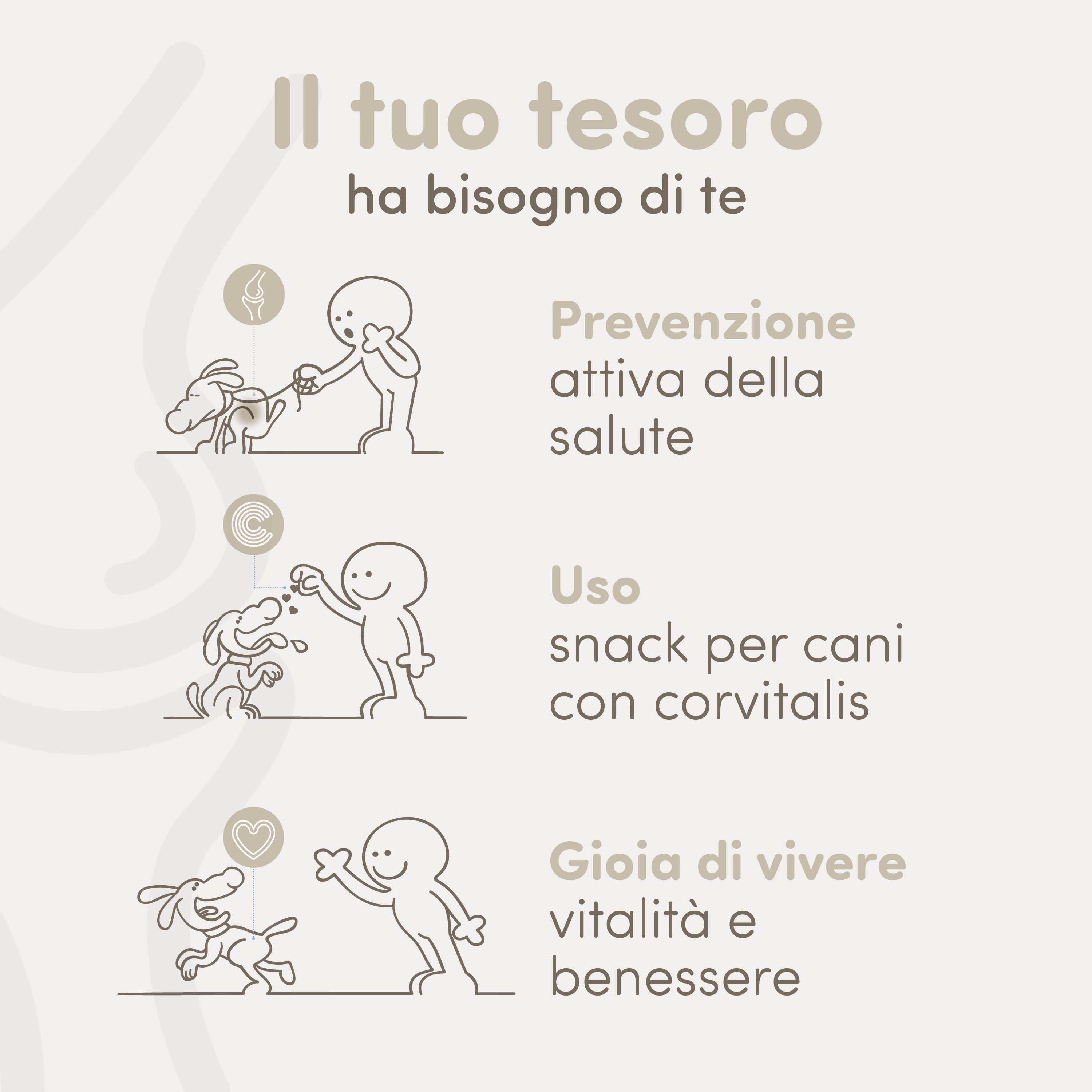 Illustrazioni mostrano cane e umano in vari scenari: prevenzione, somministrazione snack, vitalità.