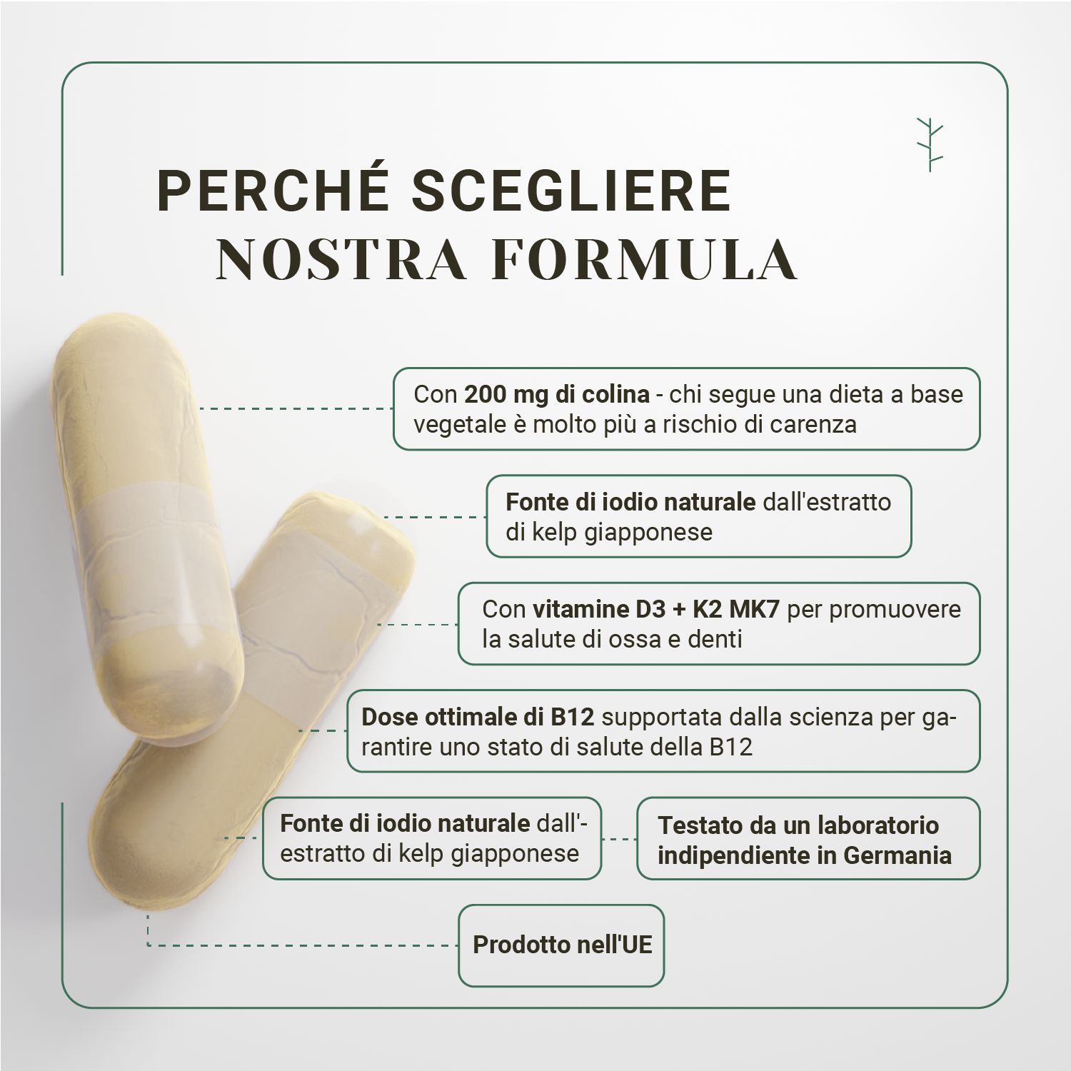 Due capsule gialle. Testo: Perché scegliere la nostra formula, colina, iodio, vitamina D3 + K2, dose B12, testato in laboratorio.