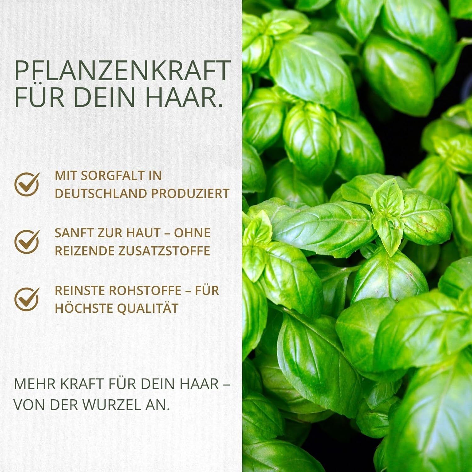 Foglie verdi. Testo: Pflanzenkraft für dein Haar. Testo: Mit Sorgfalt in Deutschland produziert.