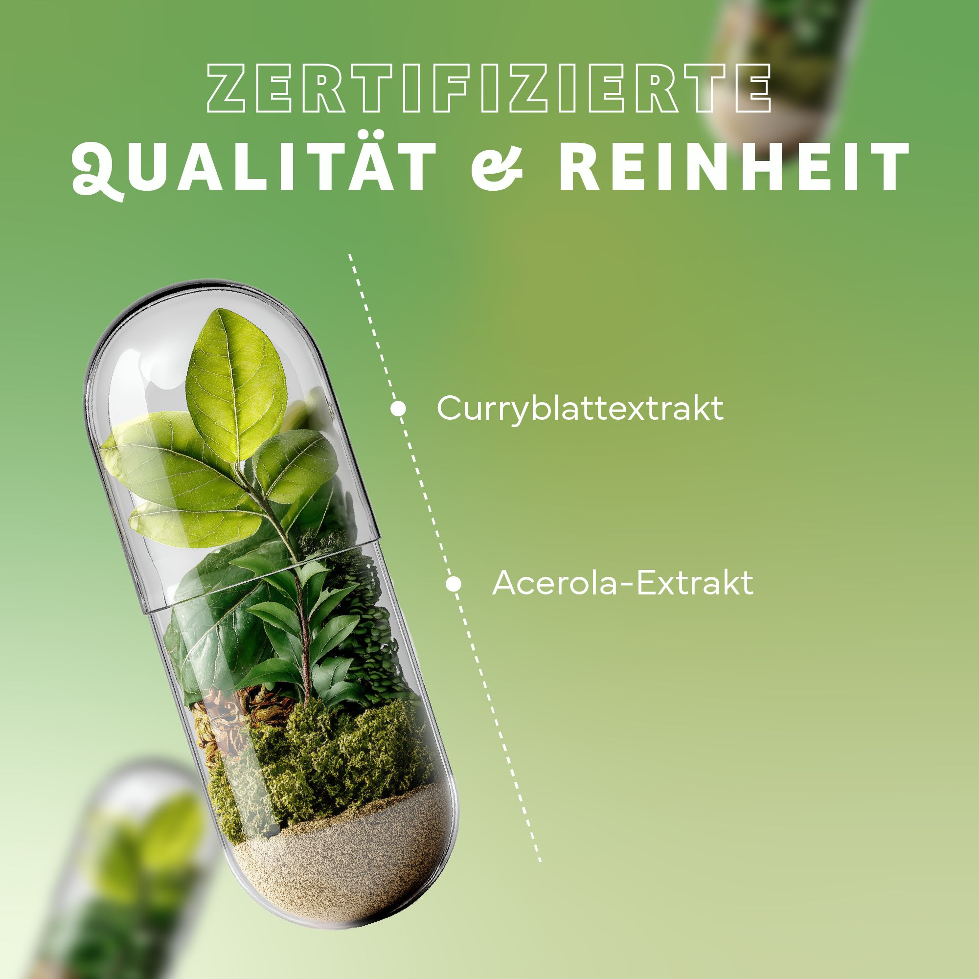 Capsula con estratto di foglie di curry e acerola, simbolo di qualità e purezza certificate.